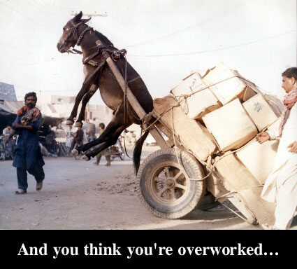 Overworked?